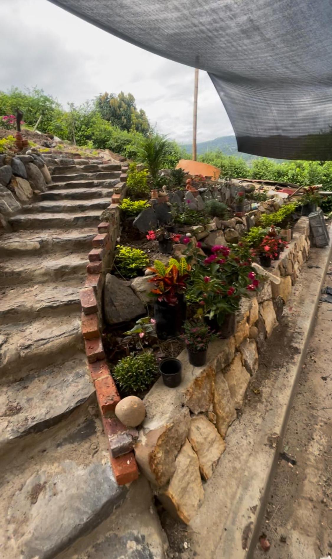 GLAMPING CARACOL-MUSEO DE MARAVILLAS DE LA VIDA MARINA, Basado en la vida del Mar
