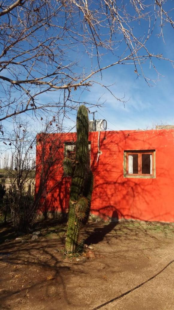 Finca ELSA