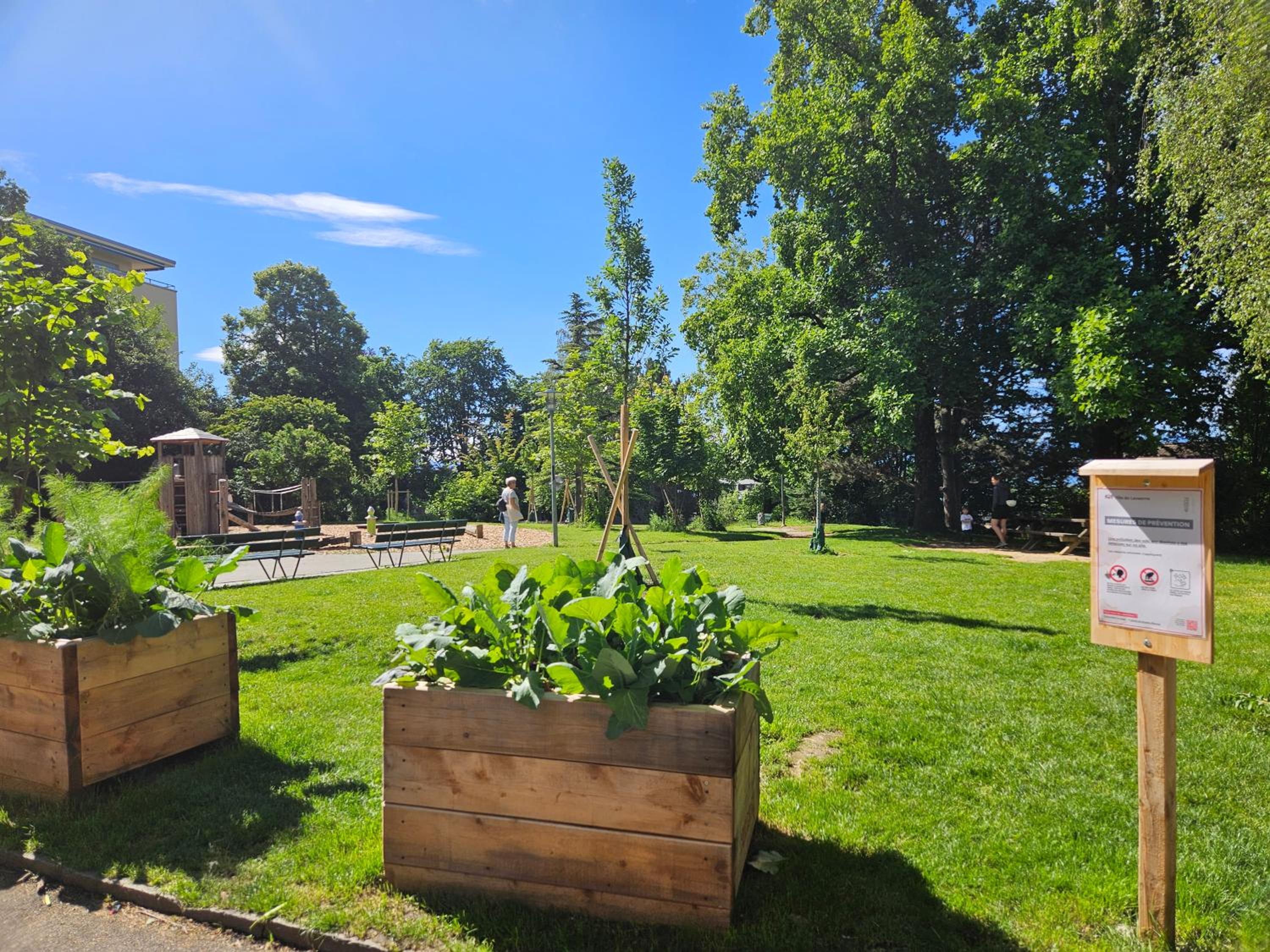 activities & amenities