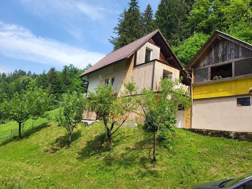 Hotel Apartma In Wellness Mesecina