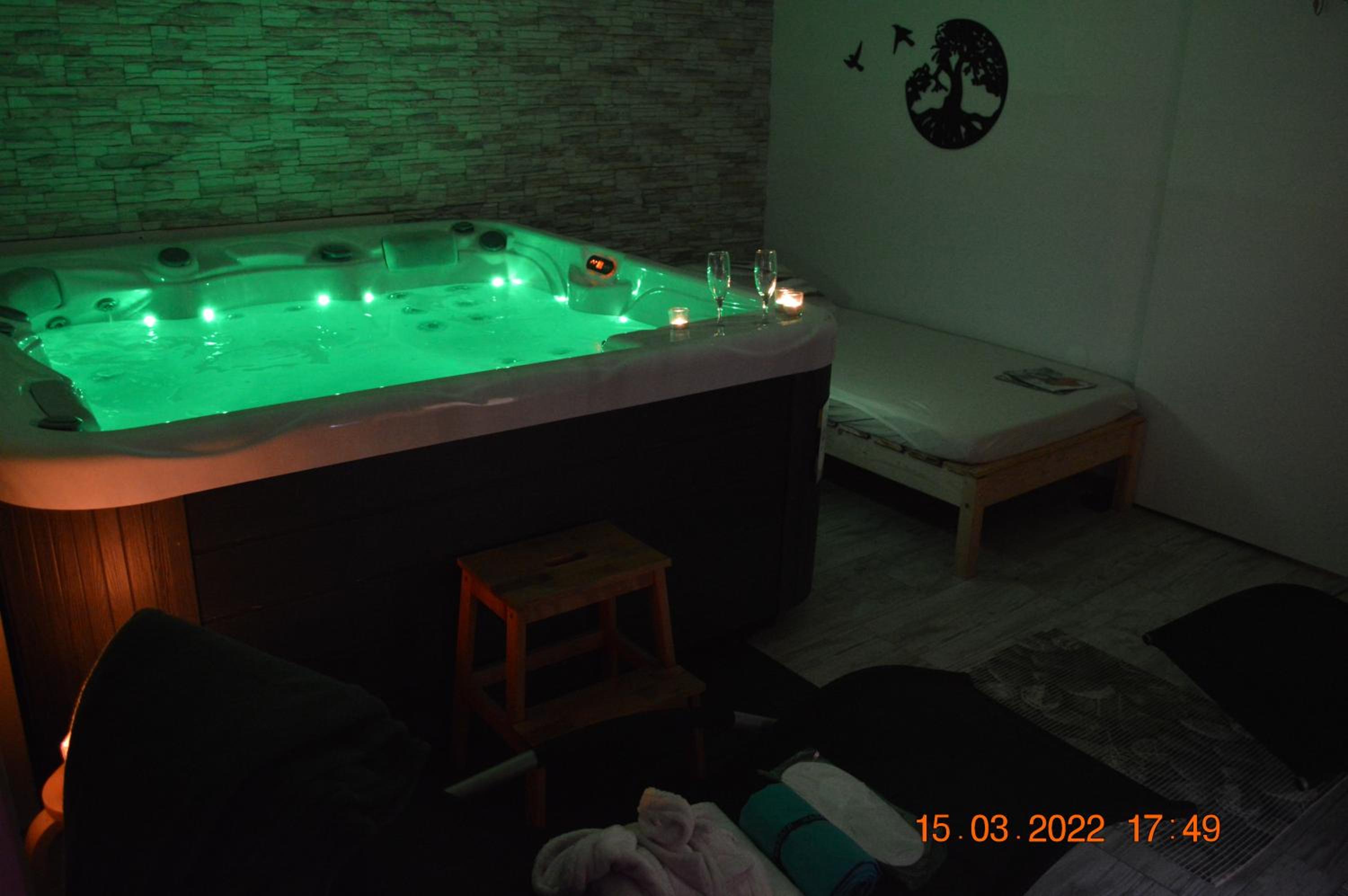 Apartma in wellness Mesečina view 3