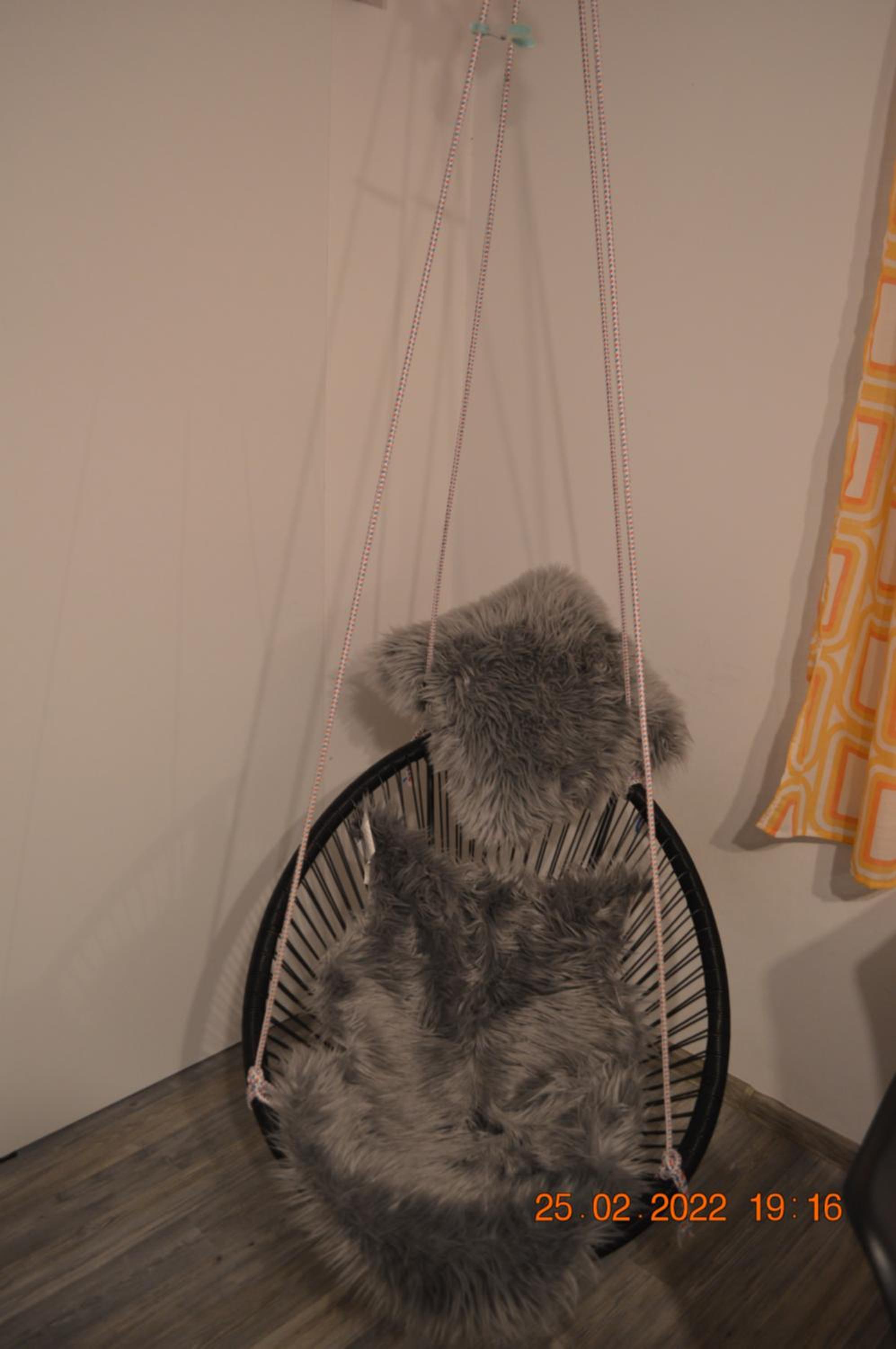 Photo 27