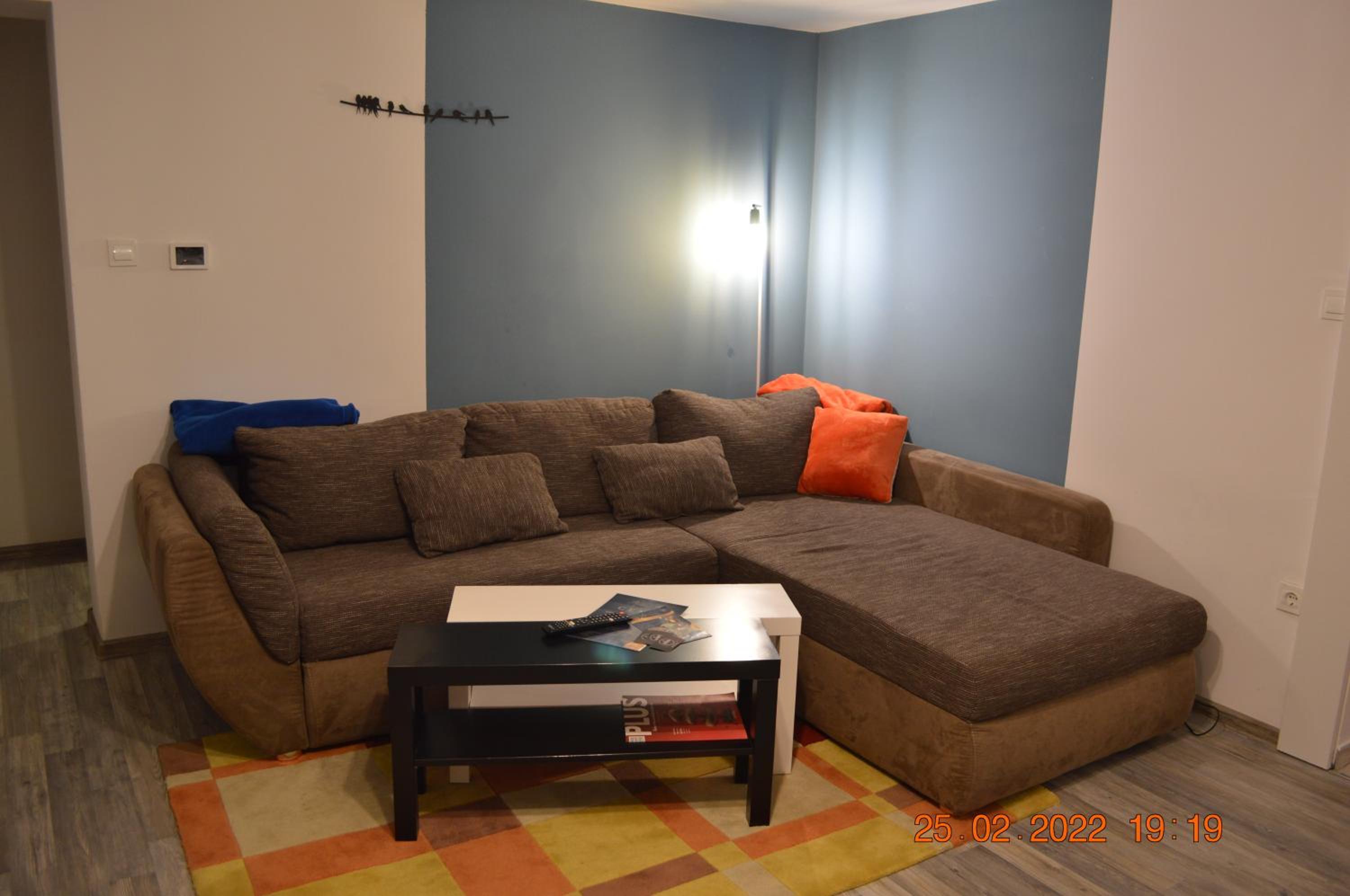 Photo 42