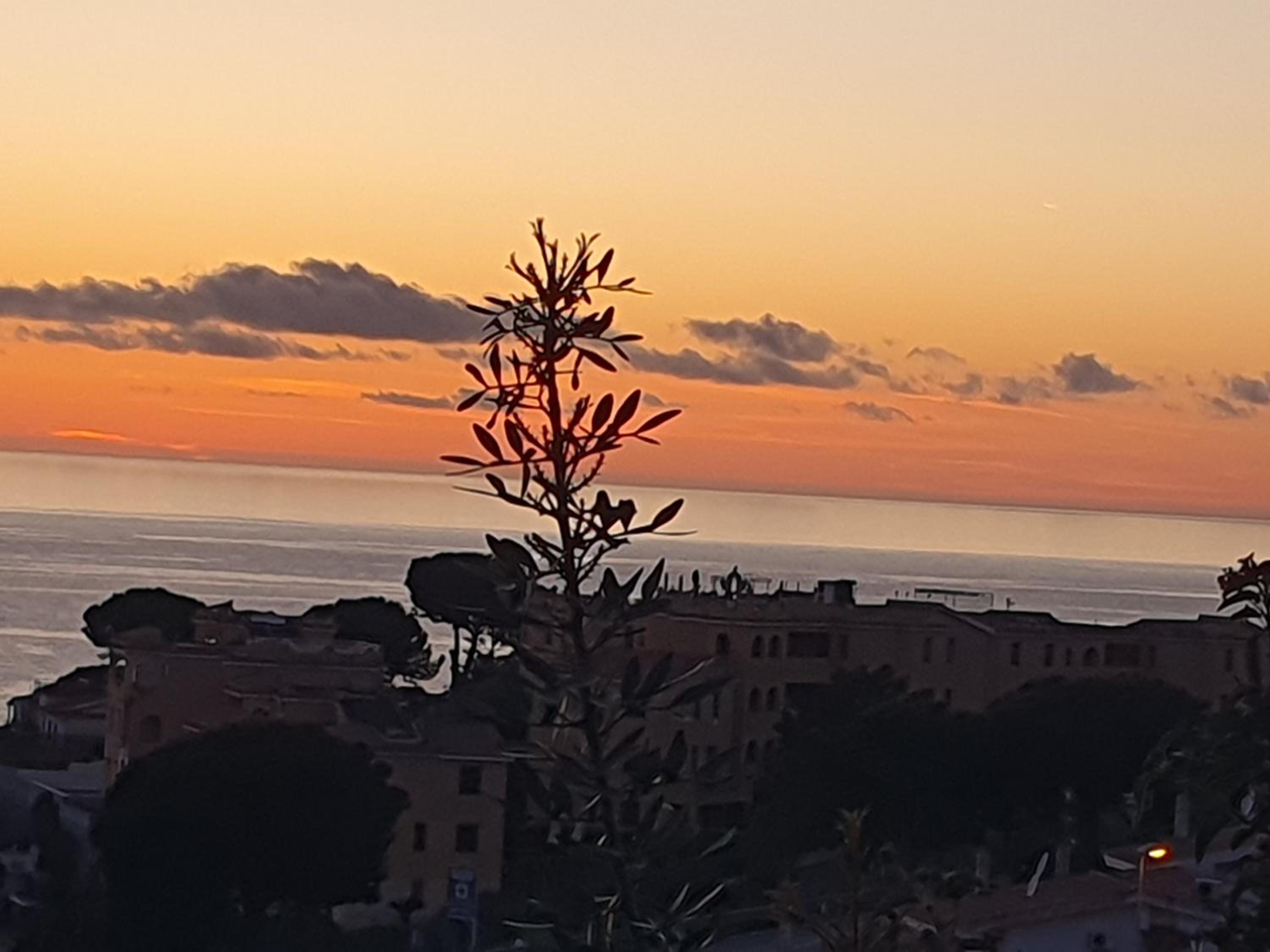 Bella di mare