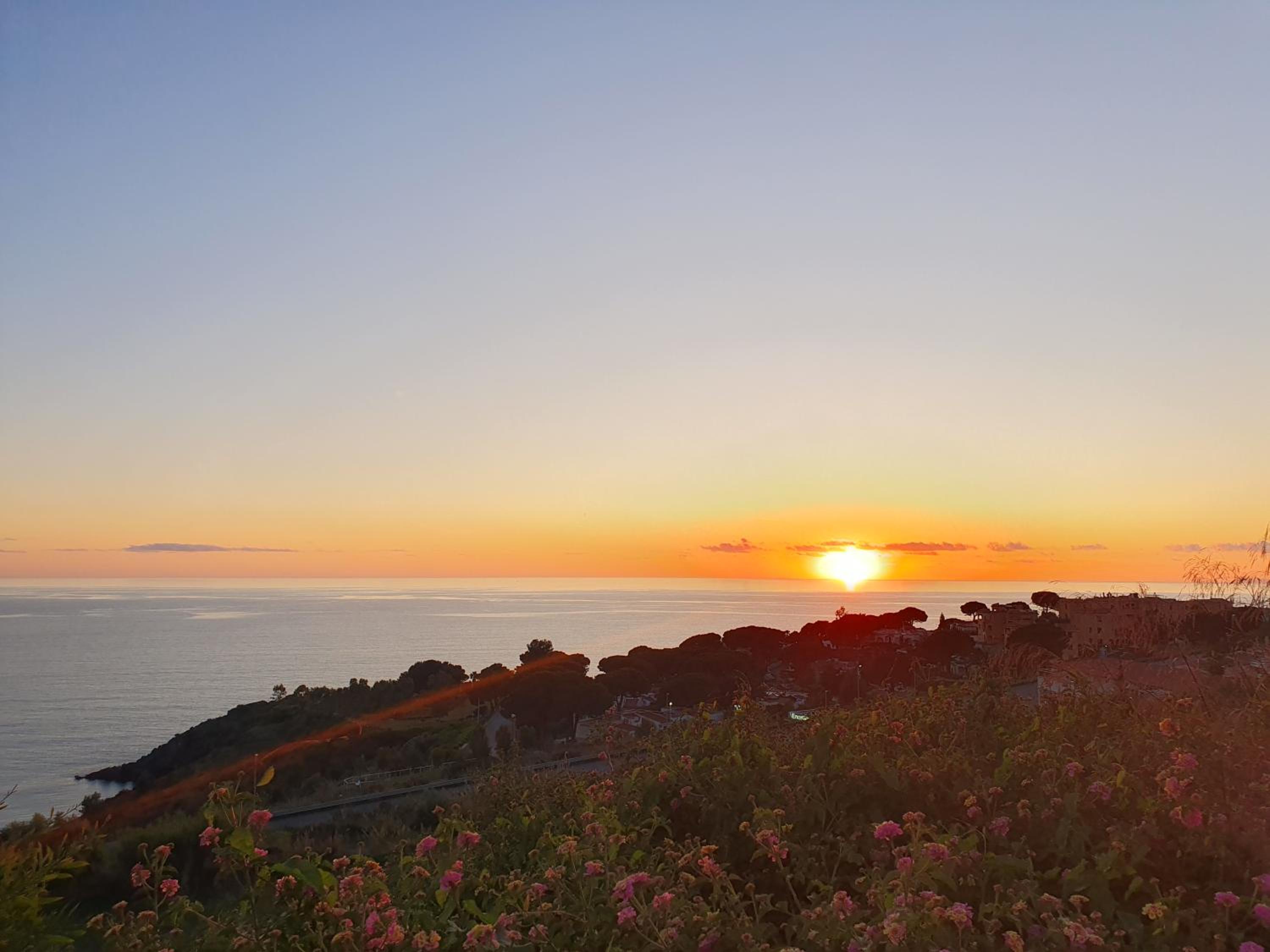 Bella di mare