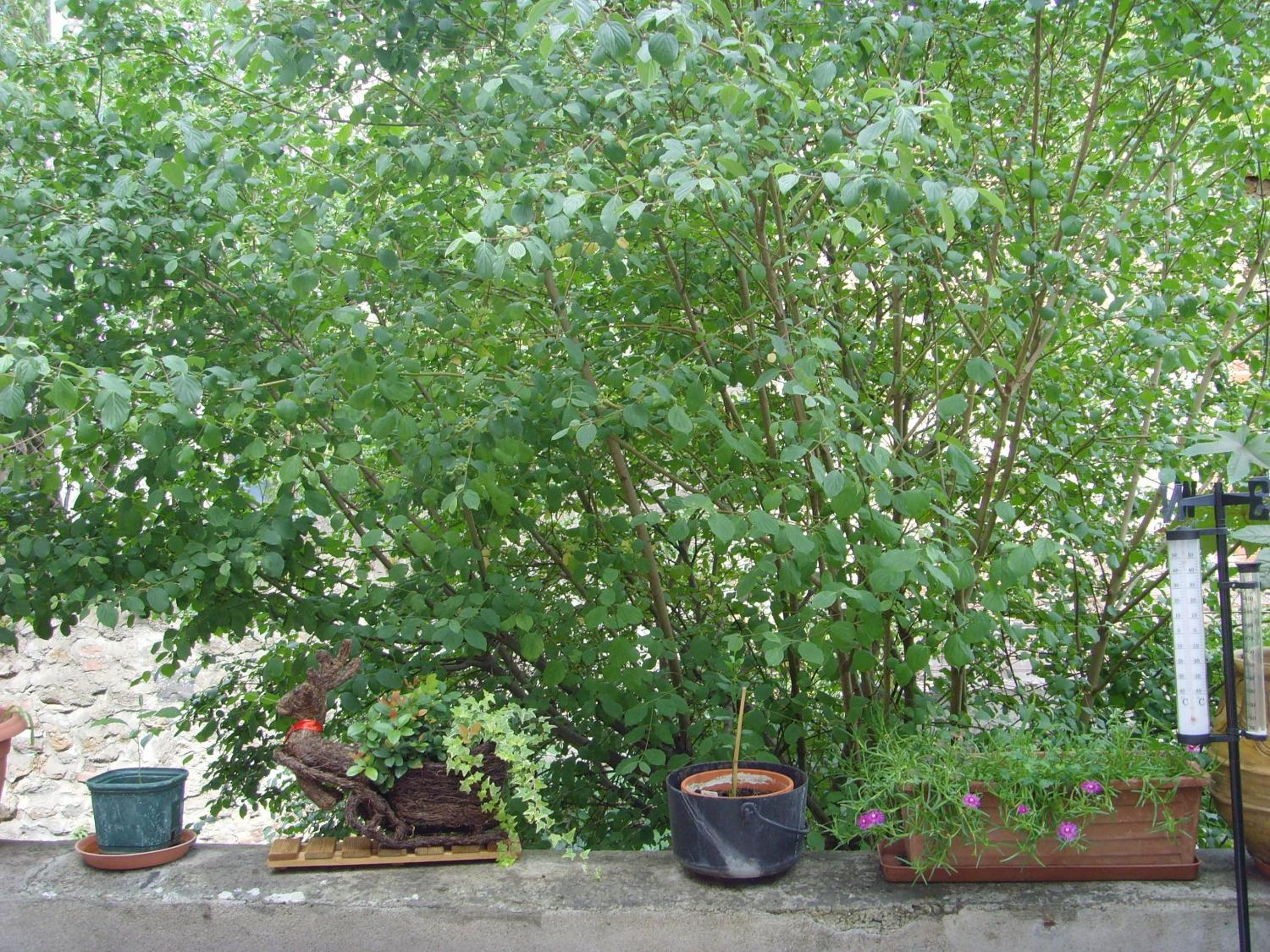 Photo 37