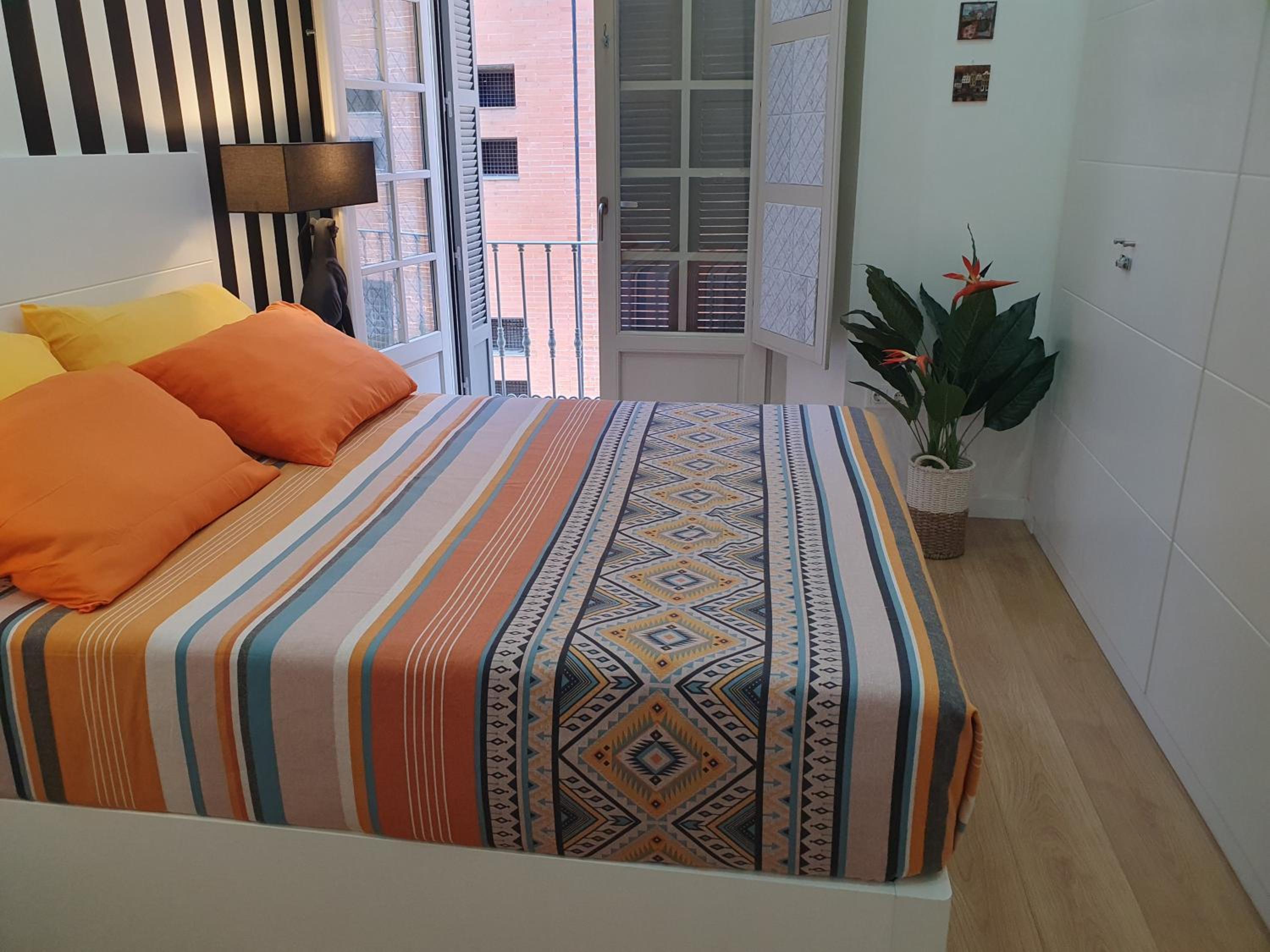 Beautiful Historic Center Apt!