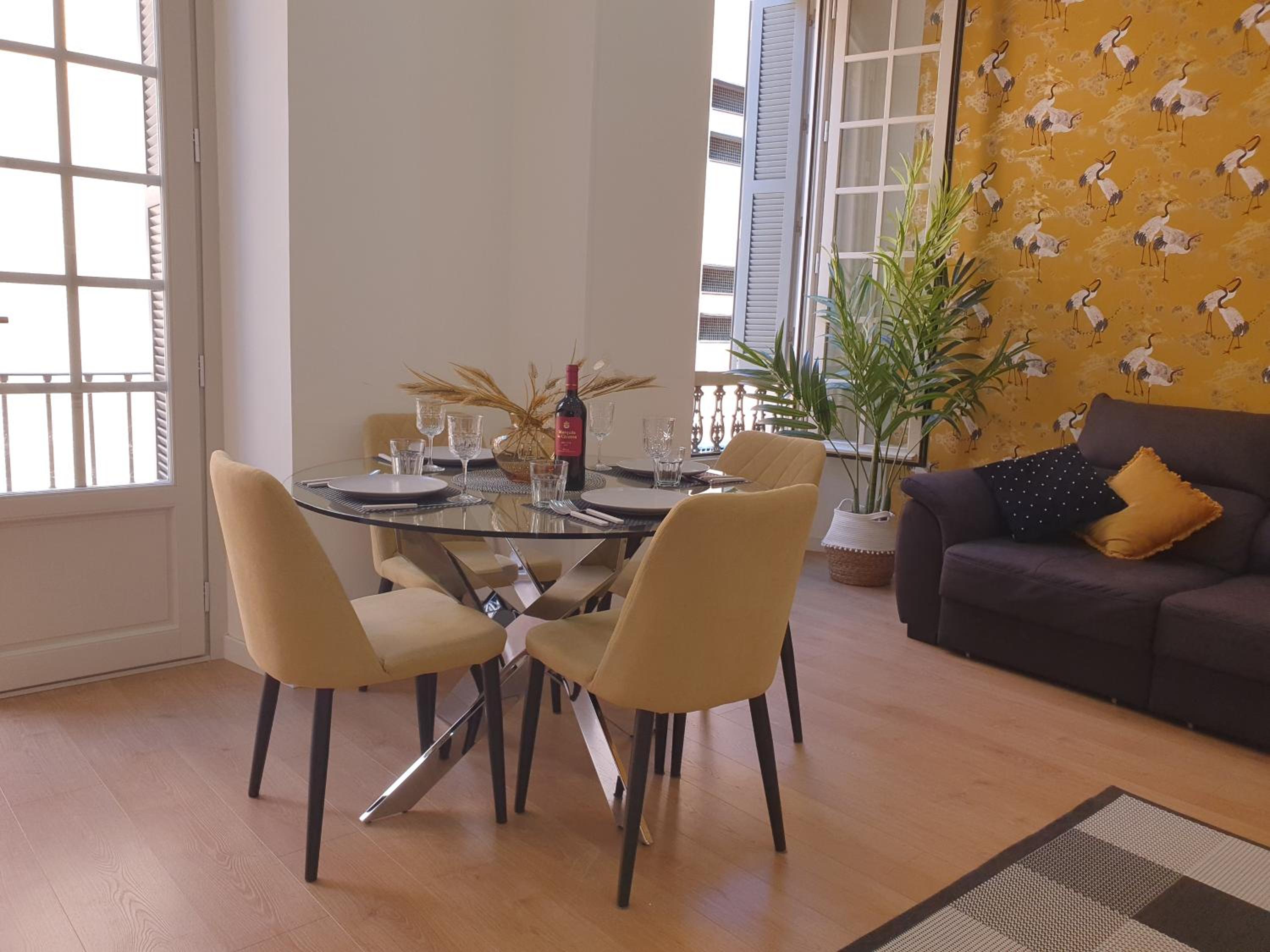 Beautiful Historic Center Apt!