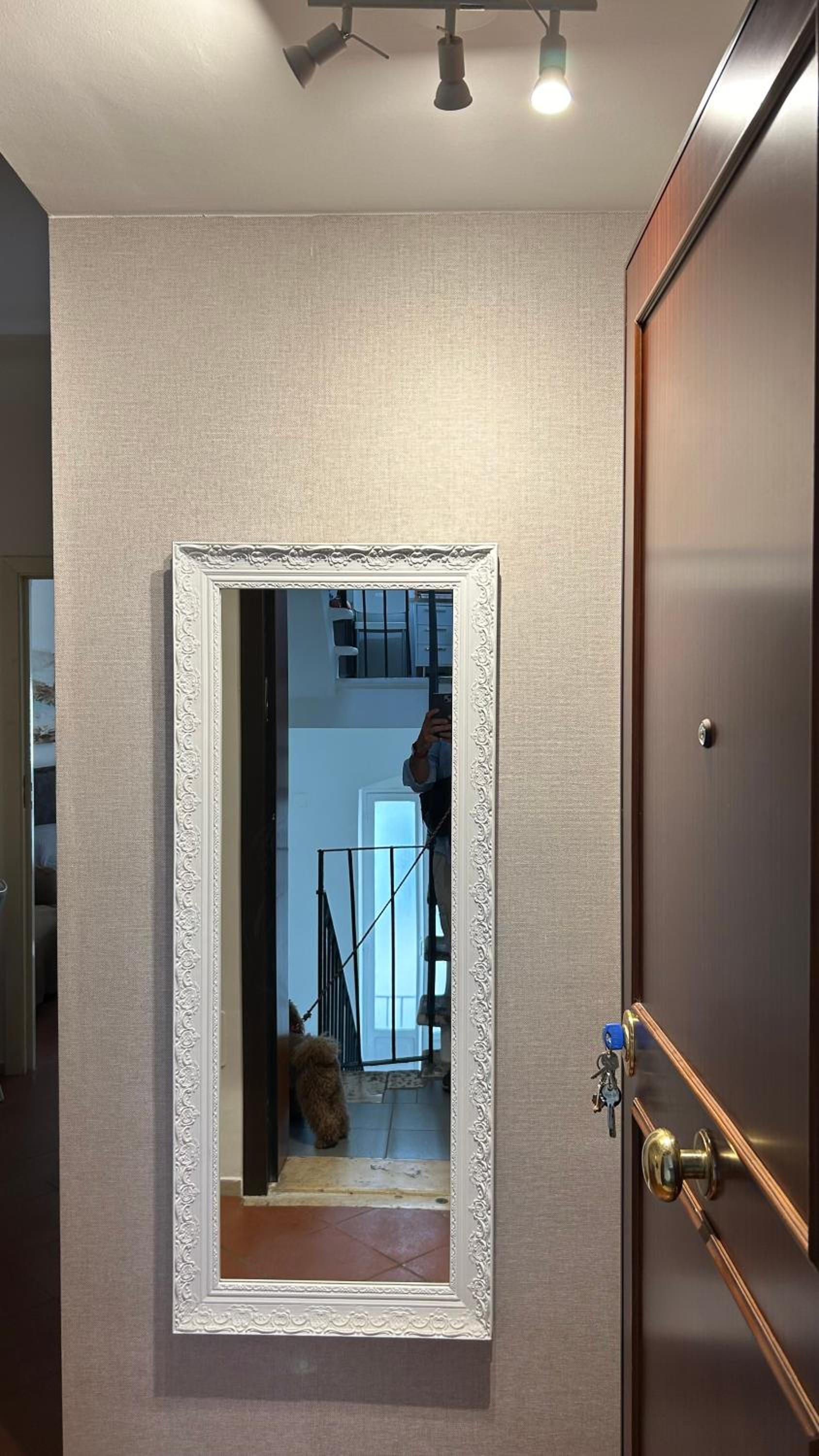 human