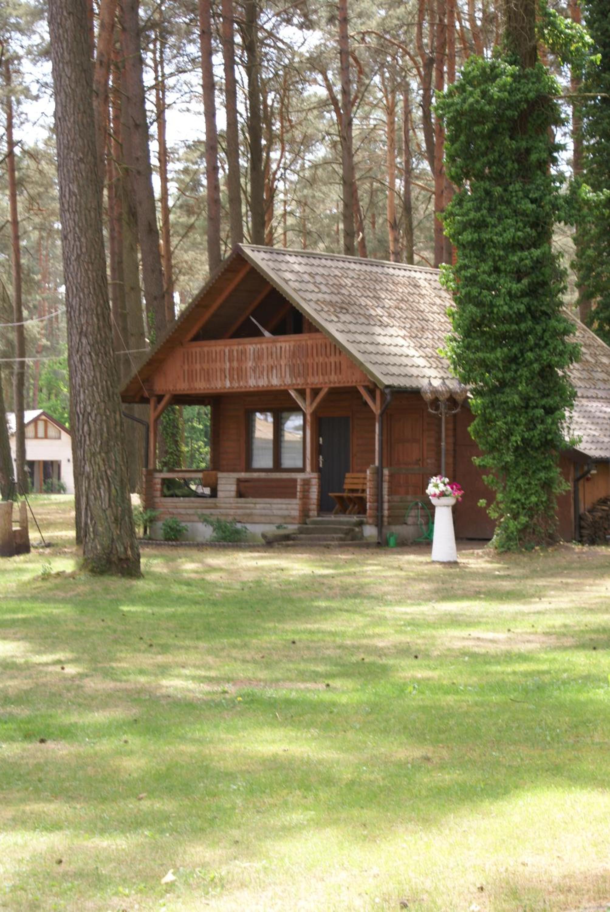 Photo 100
