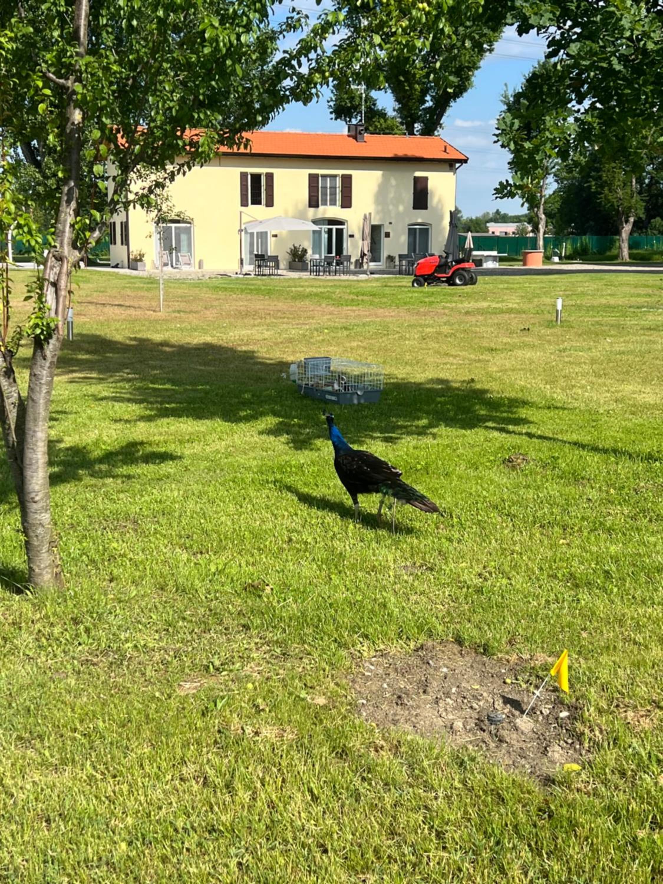 Villa Iris