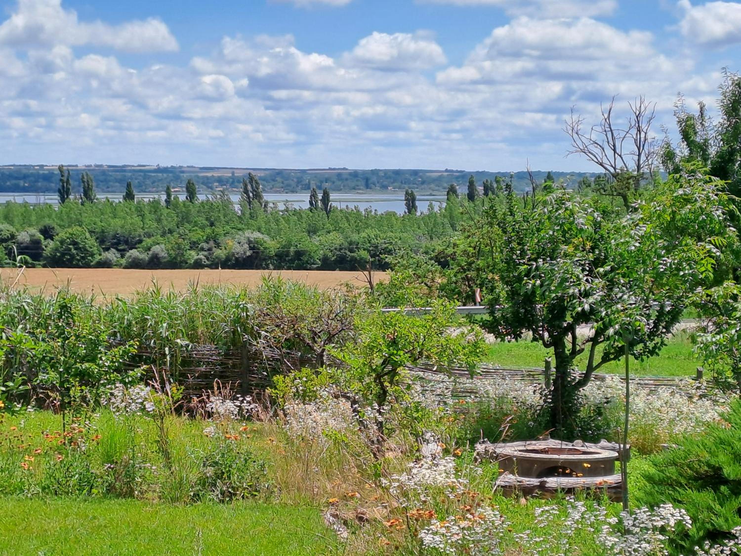 Photo 25