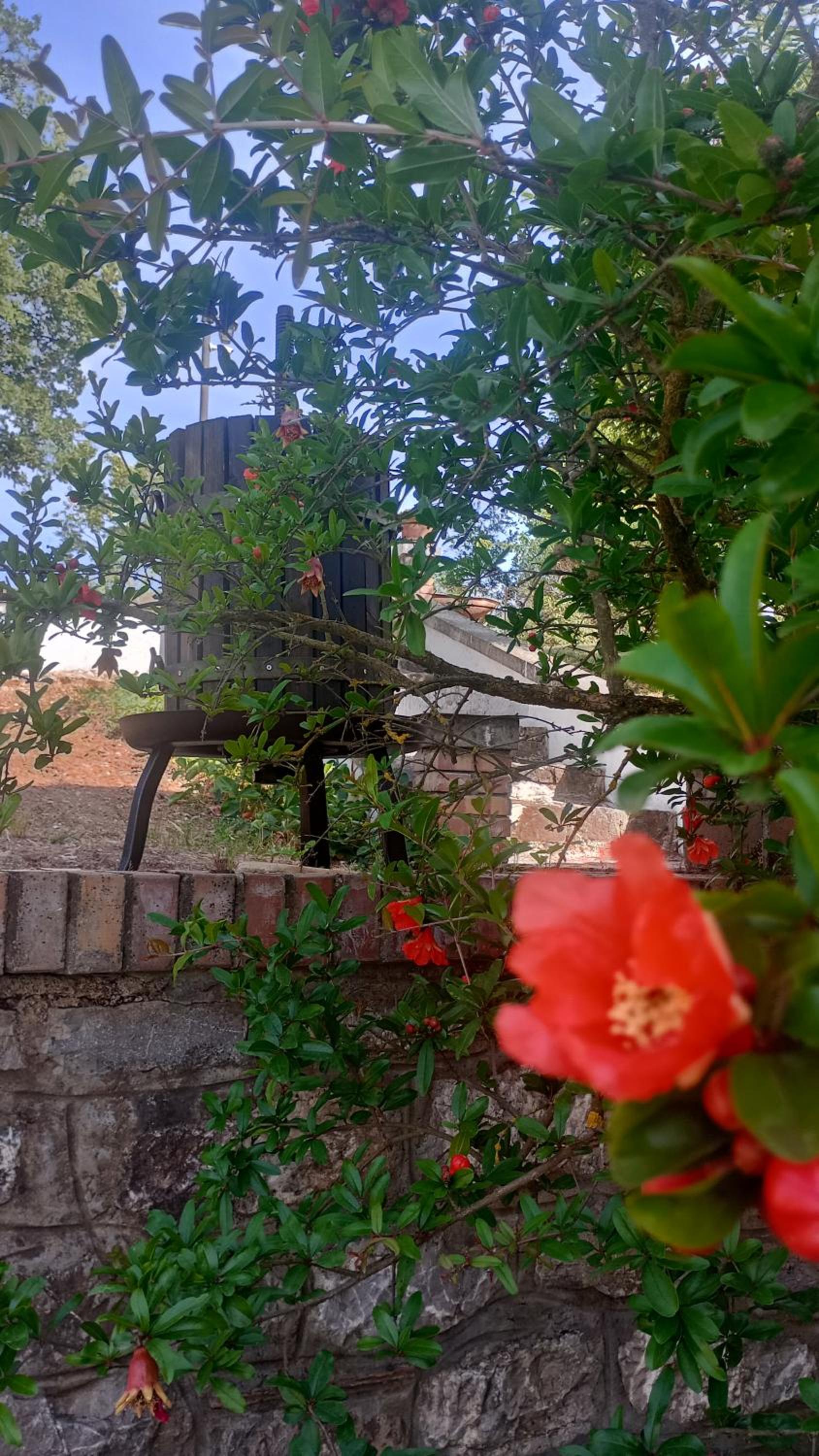 Il Sottobosco photo 3