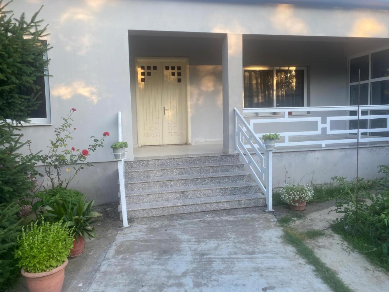 Luxury House photo 3