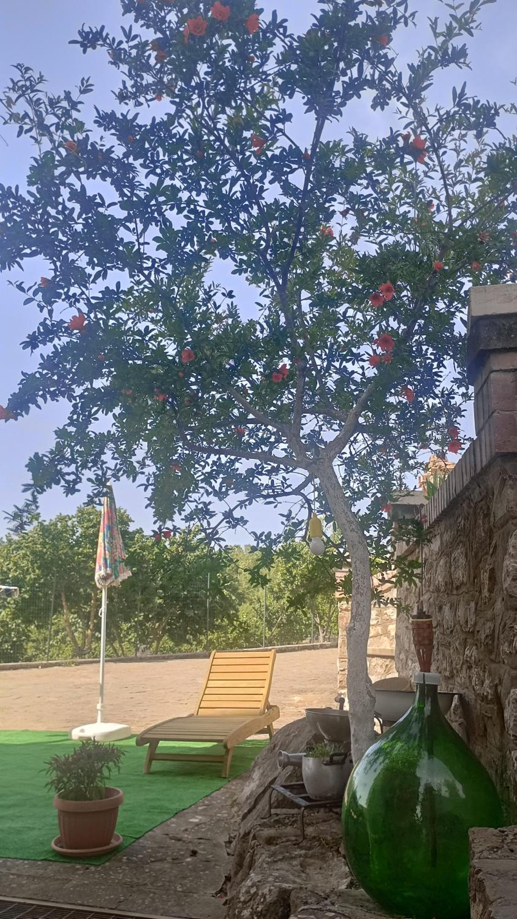 Il Sottobosco photo 2