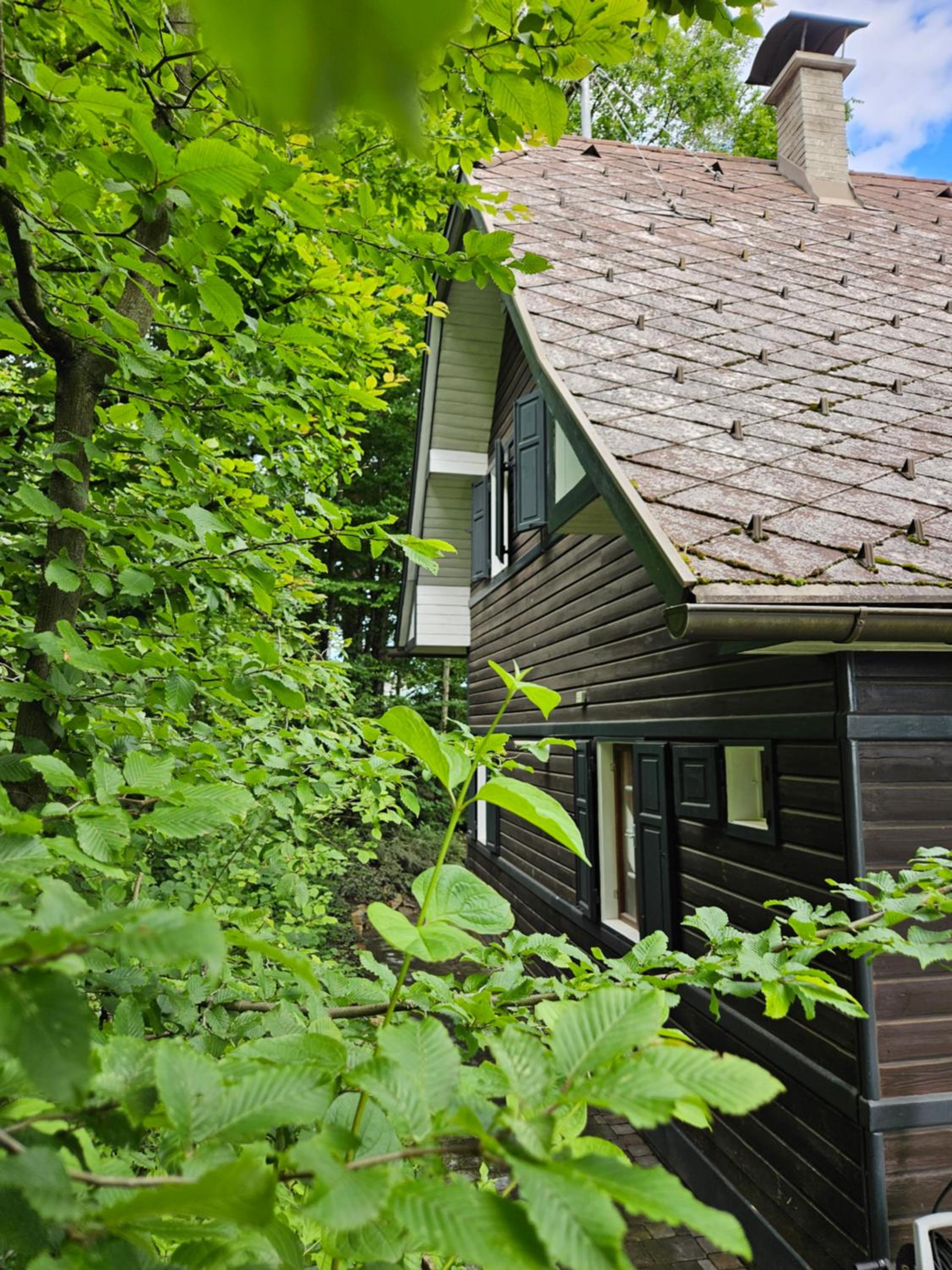 Onkel Willis Hütte