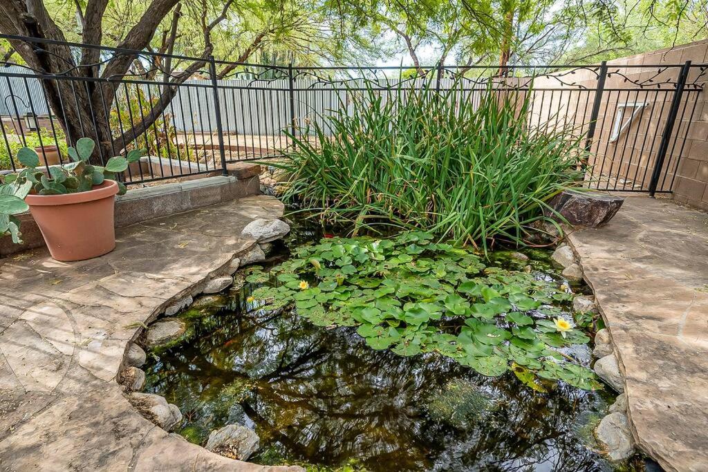 Relaxing 3BD-2BA Near UofA w BBQ, Koi Pond, Zen Garden - Low Summer Rates! view 2