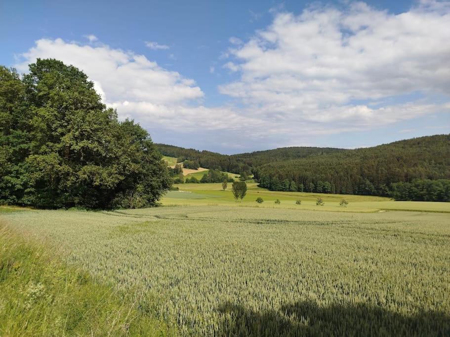Altes Otto Haus
