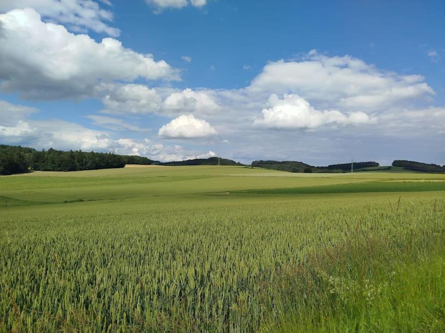 Altes Otto Haus