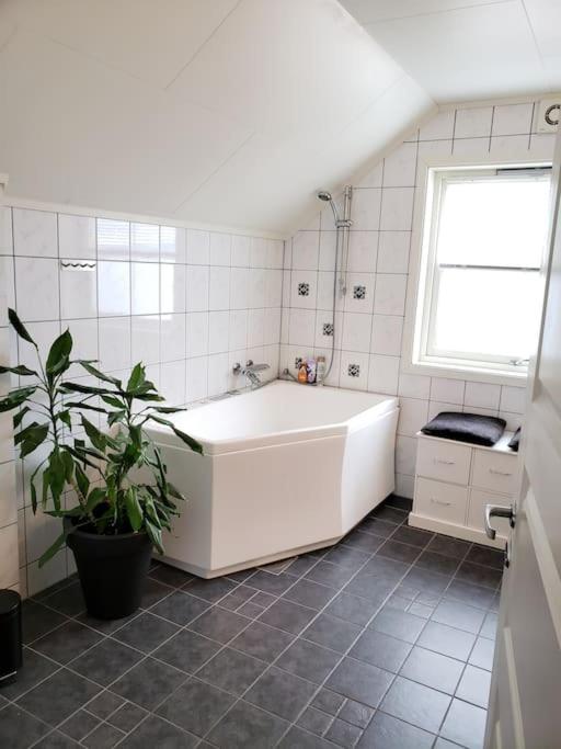 3 bedrooms&2bathrooms house with amazing view view 5