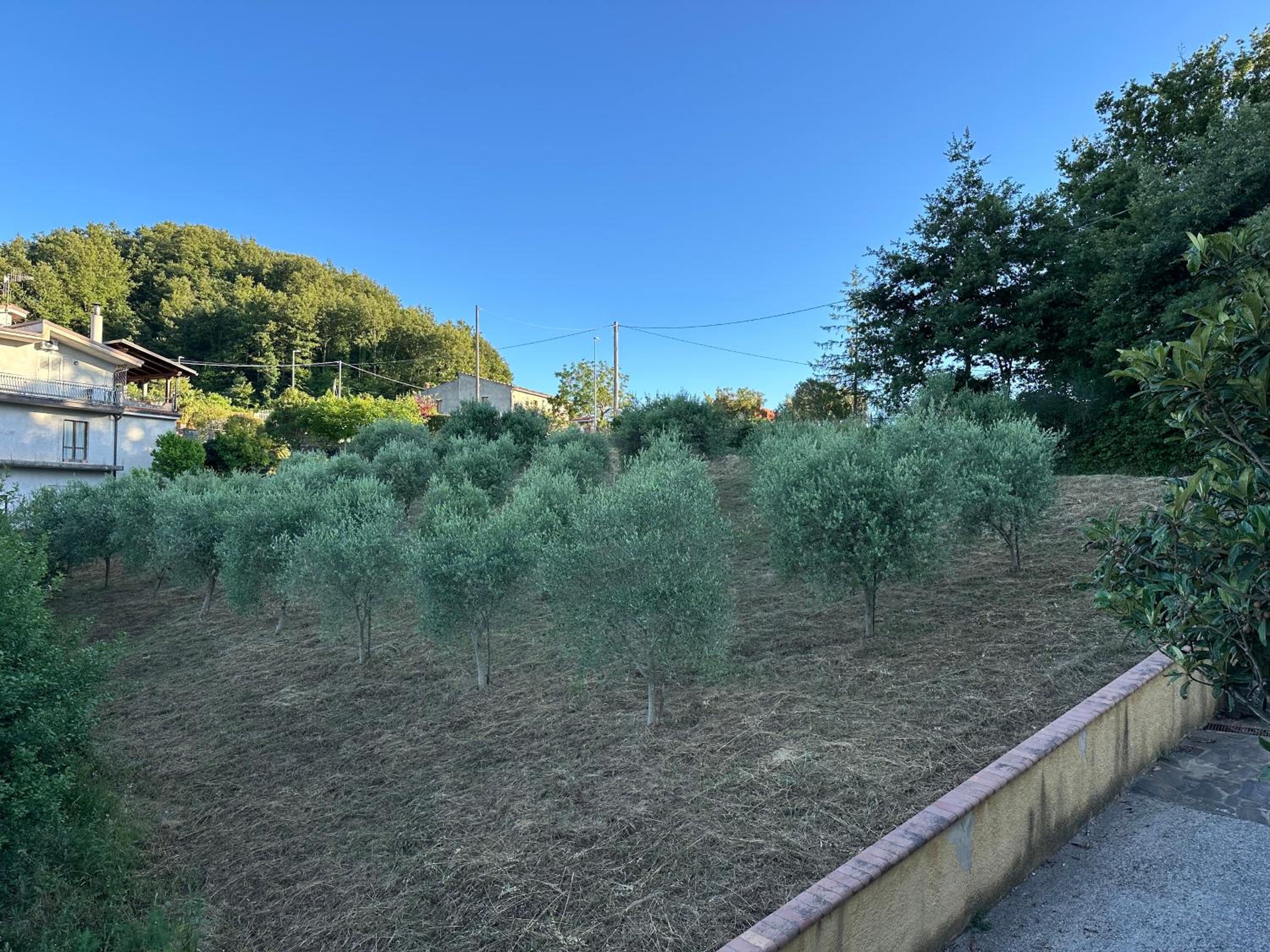 Cinelli Apartment Stio Cilento - Relax tra Mare e Montagna - Wi-fi Self ceck-in