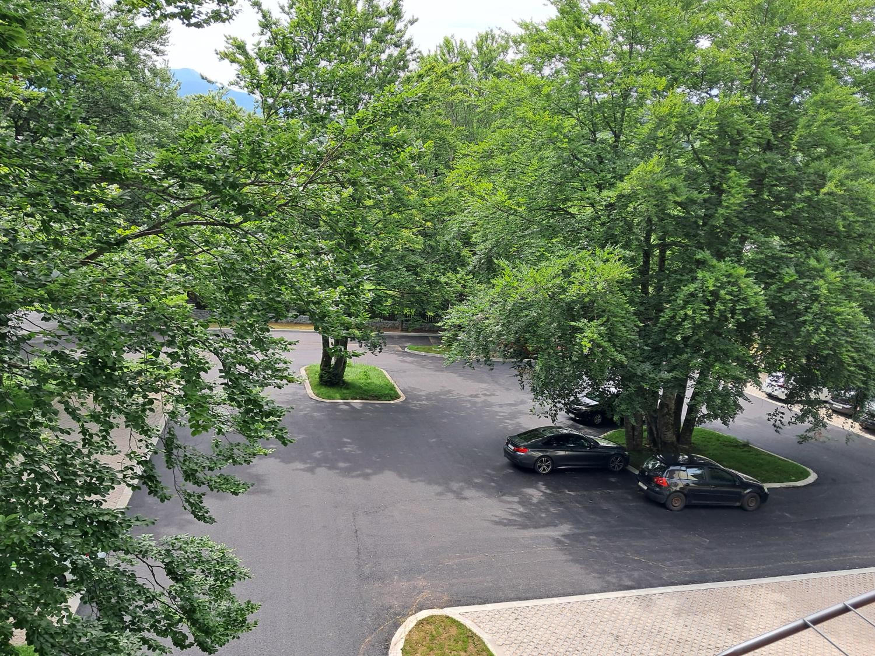 Studio apartman Rose