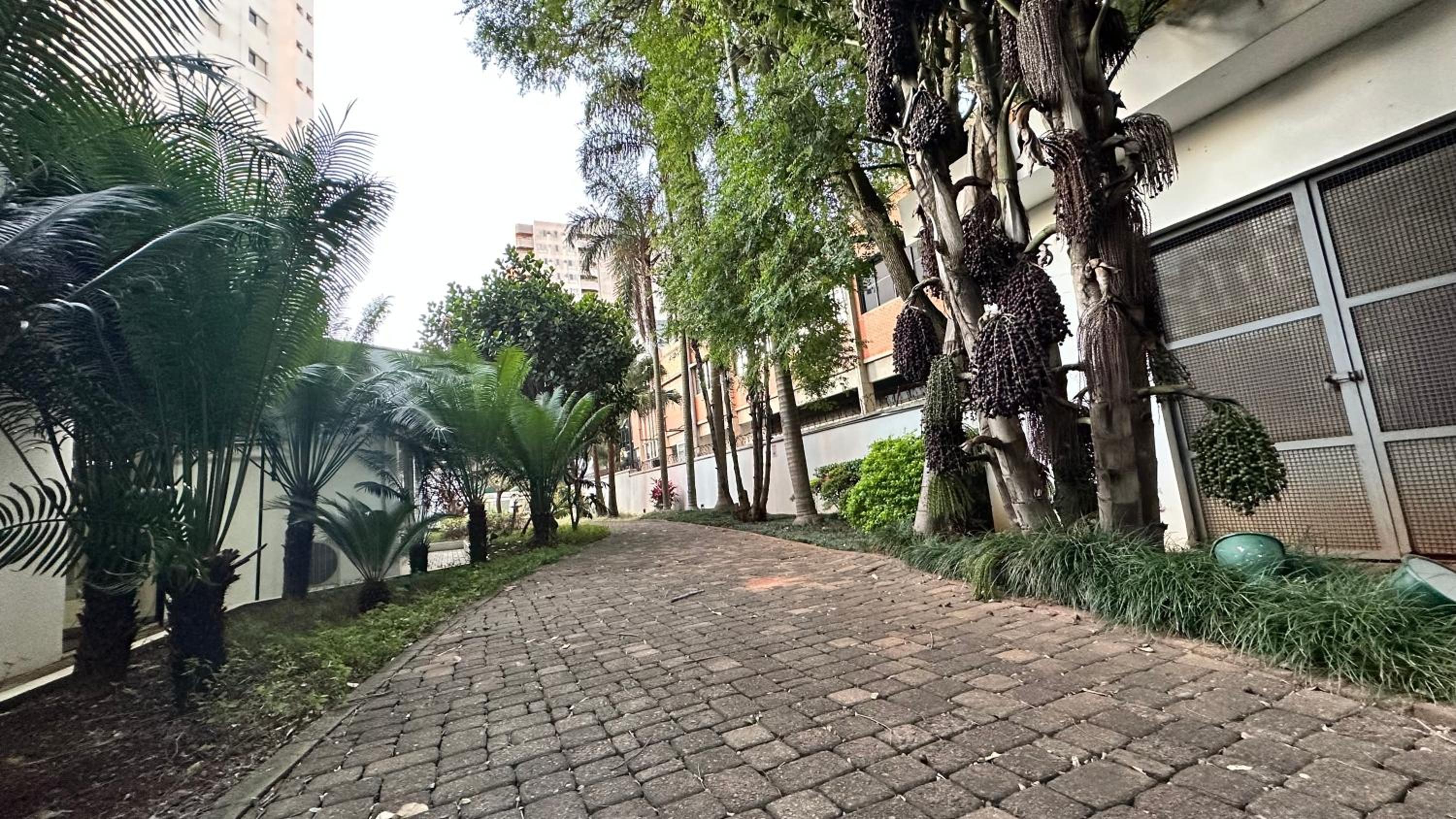 Só Mulheres Cobertura Duplex Alto Padrão Shows Ginásio Parque Ibirapuera Jardins Av Paulista Paraíso Vl Mariana