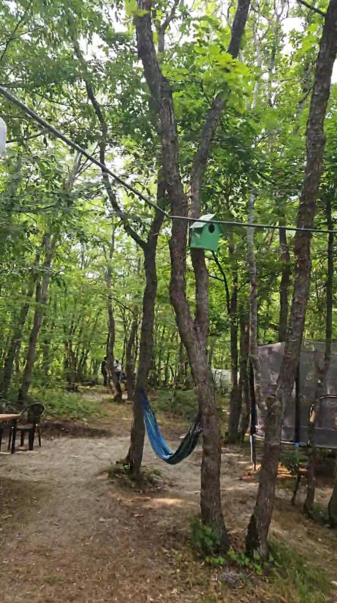 Mənzərə Piknik