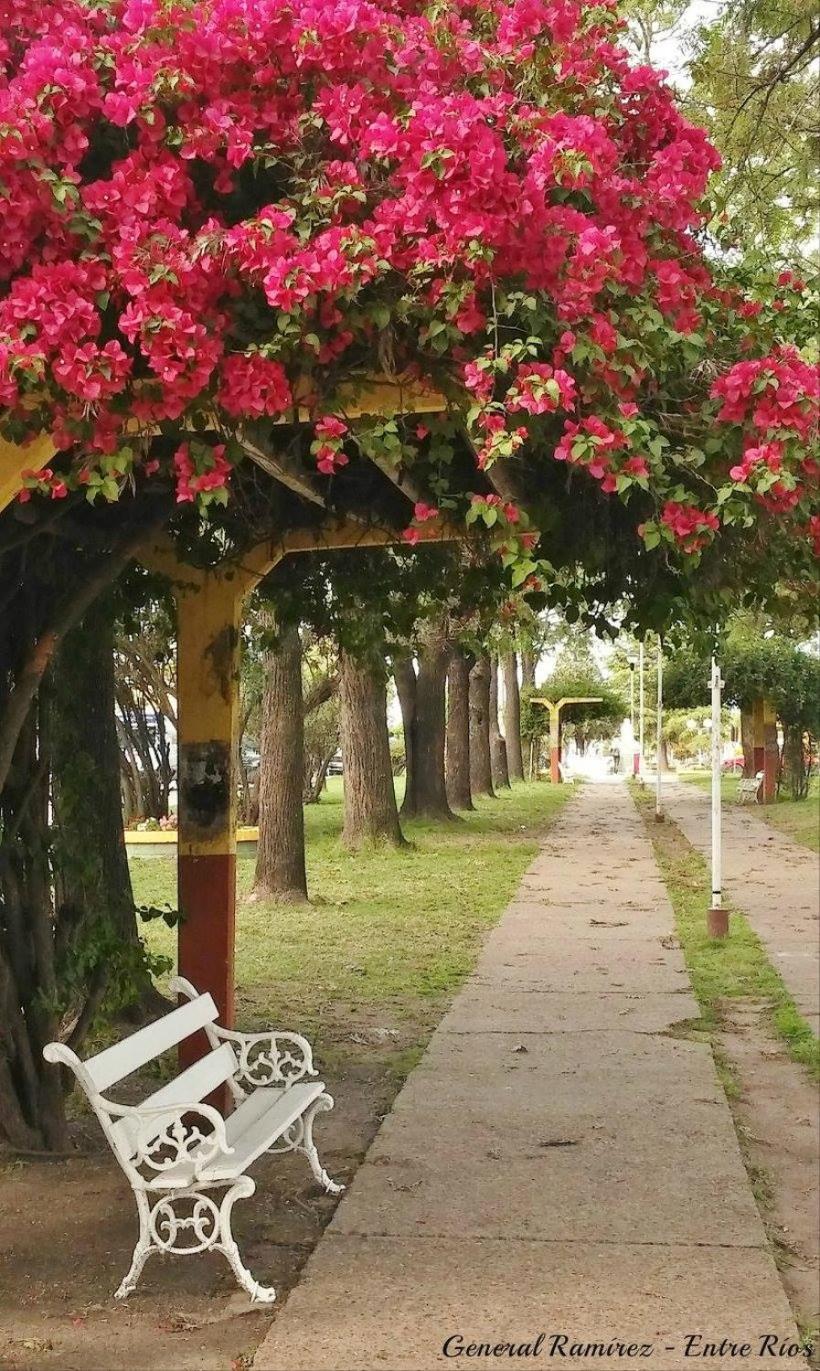 CASA Del RODEO