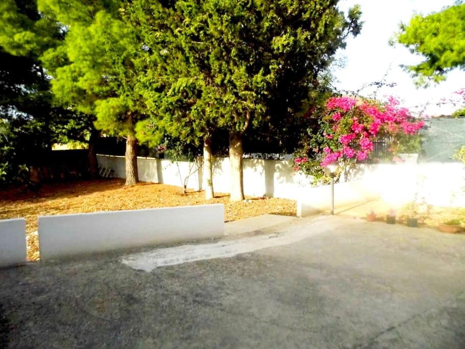Photo 47