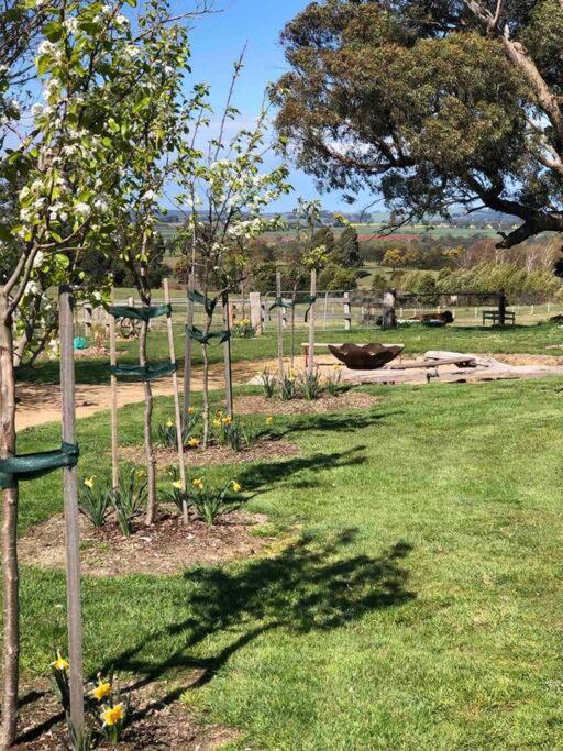 Luxury Accomodation, Farm Stay, Stunning views near Daylesford