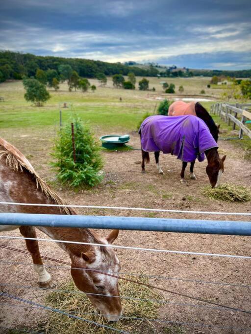 Luxury Accomodation, Farm Stay, Stunning views near Daylesford