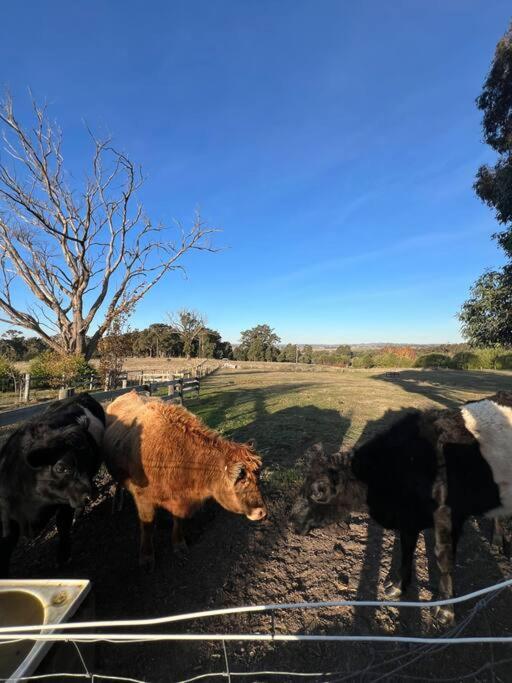 Luxury Accomodation, Farm Stay, Stunning views near Daylesford