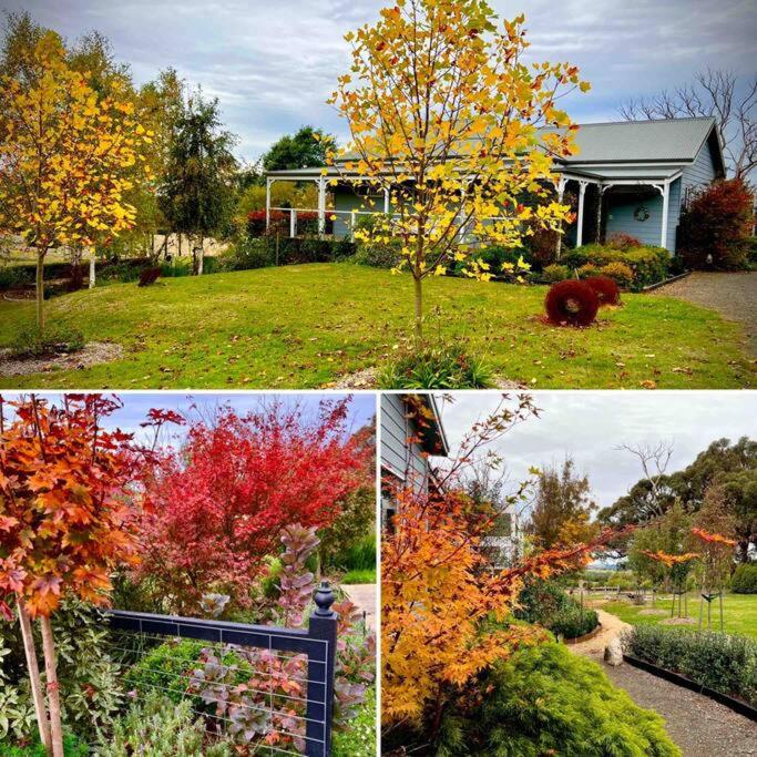 Luxury Accomodation, Farm Stay, Stunning views near Daylesford