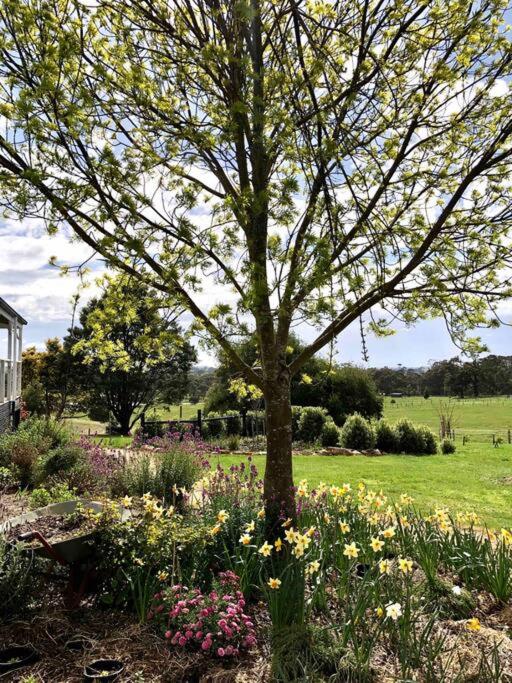 Luxury Accomodation, Farm Stay, Stunning views near Daylesford