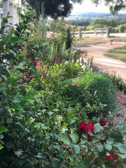 Luxury Accomodation, Farm Stay, Stunning views near Daylesford