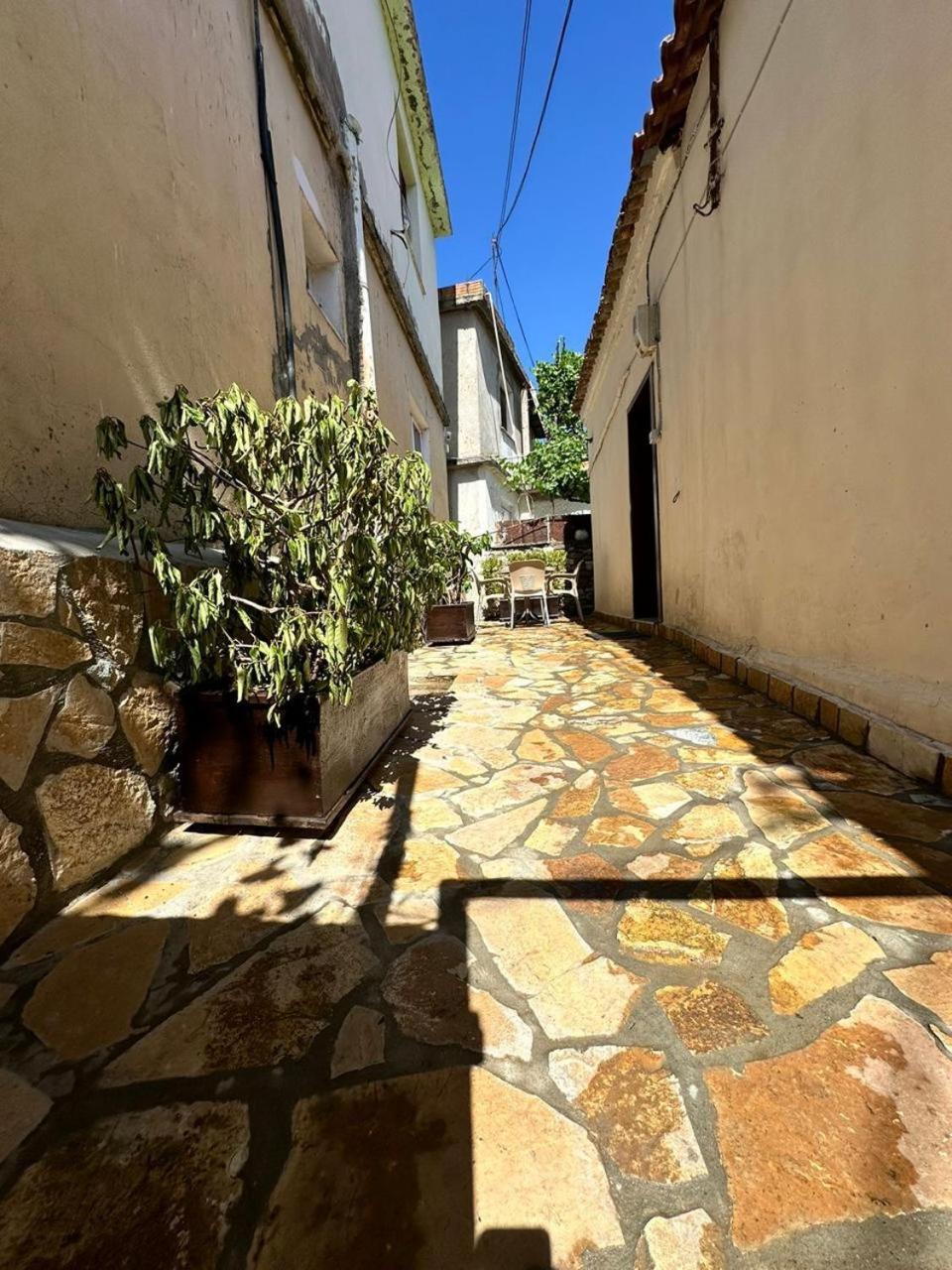 Hostel Leon Berat