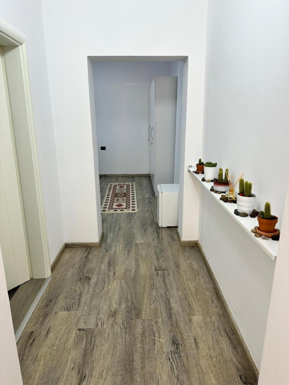 Hostel Leon Berat