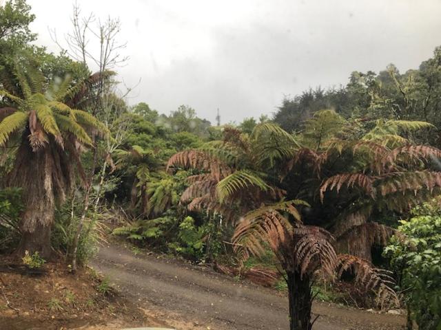 Kowhai Lodge view 2