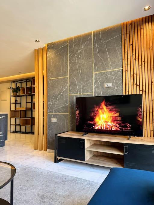 Classy presidential apartment
