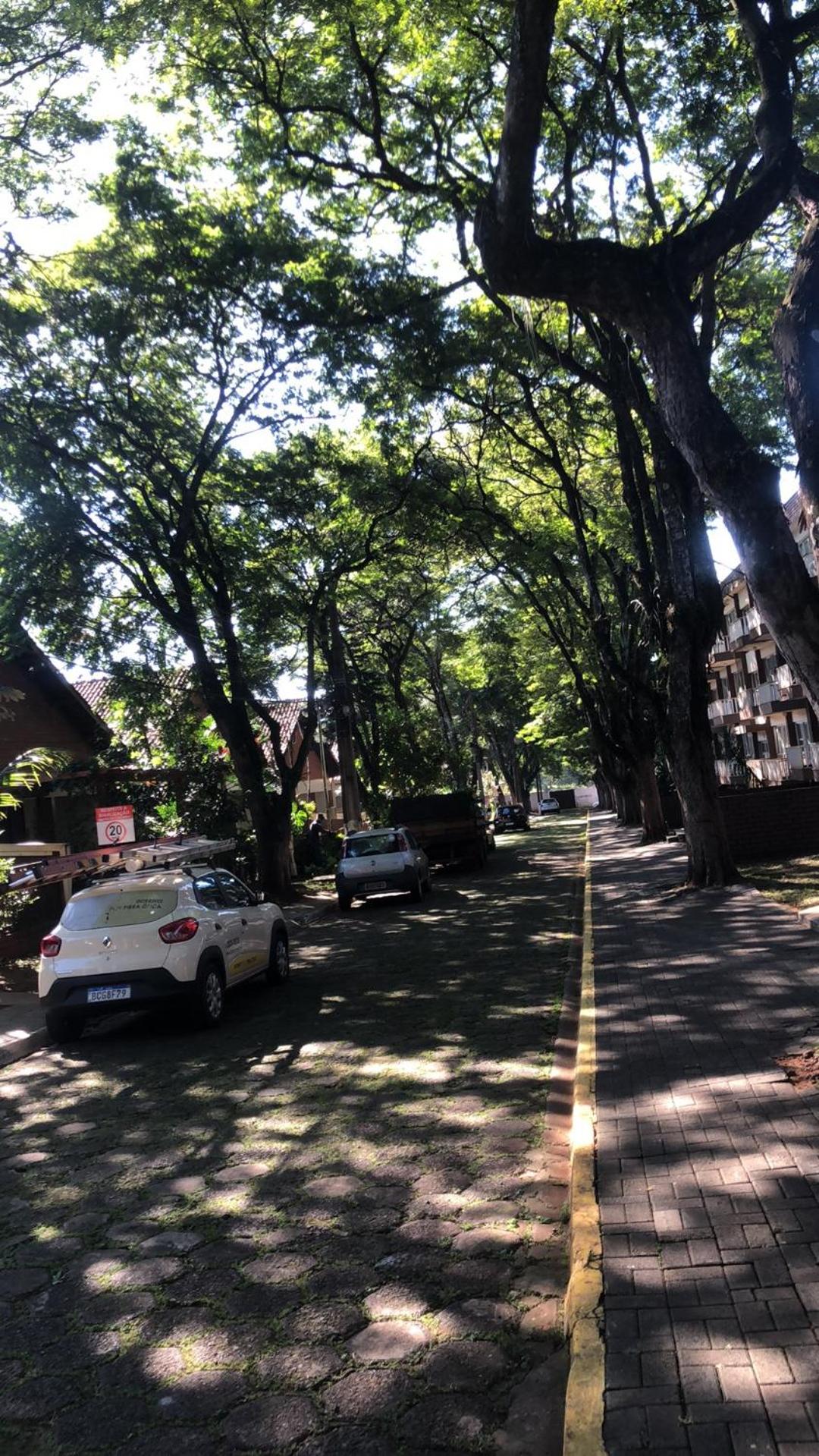 Baba