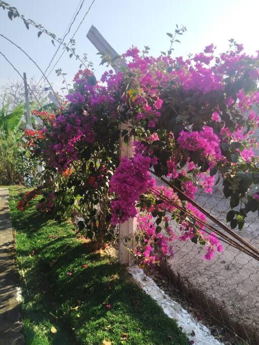 Sítio Morada do Sol - Lazer Completo