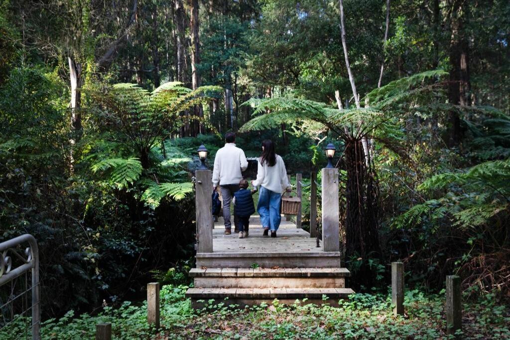 Heathlands-Toolangi-Yarra Valley