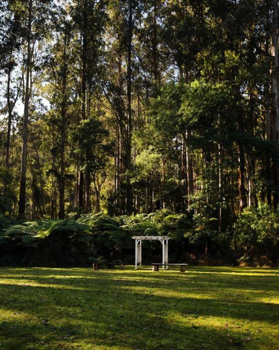 Heathlands-Toolangi-Yarra Valley