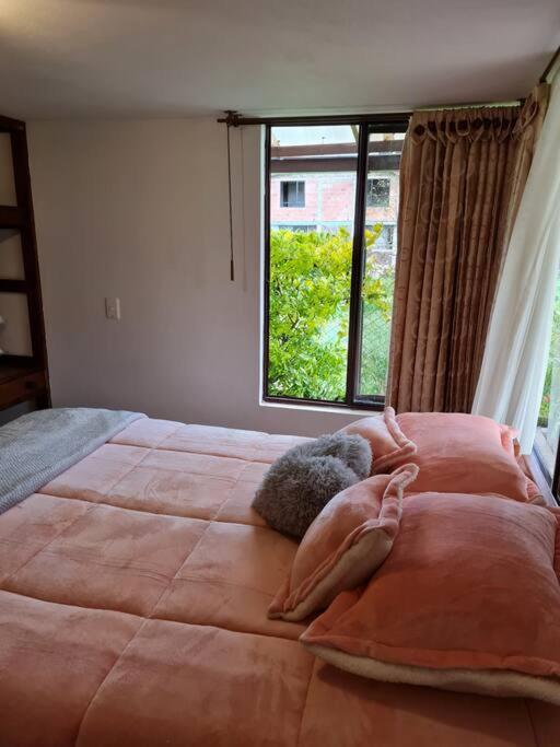 Chalet D'Elena