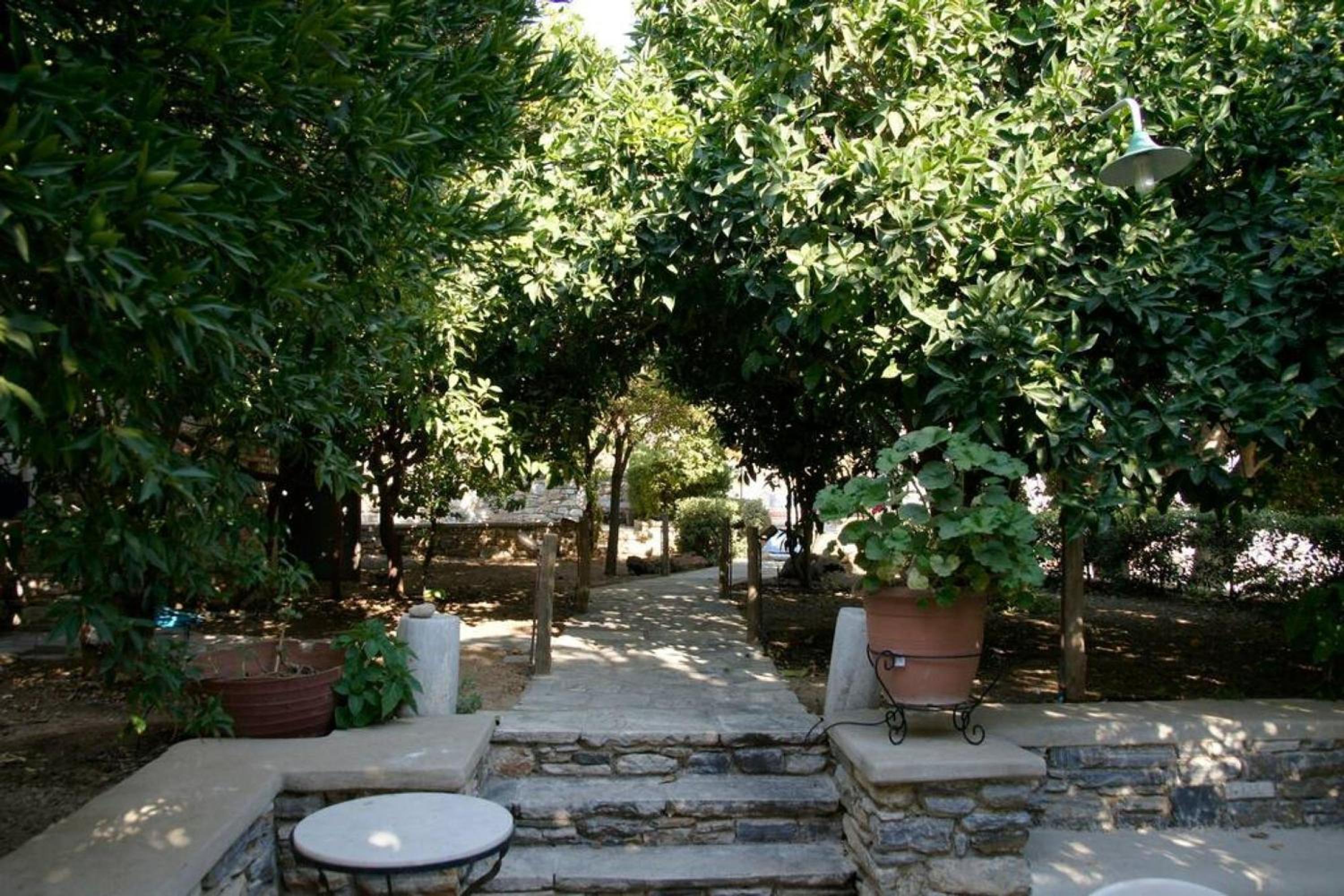 Photo 25