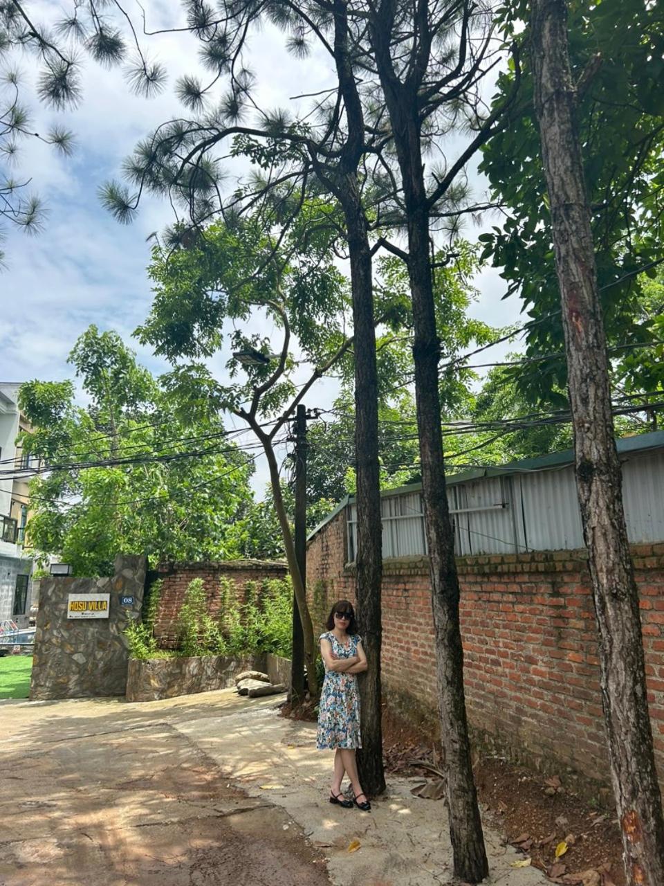 Hosu villa