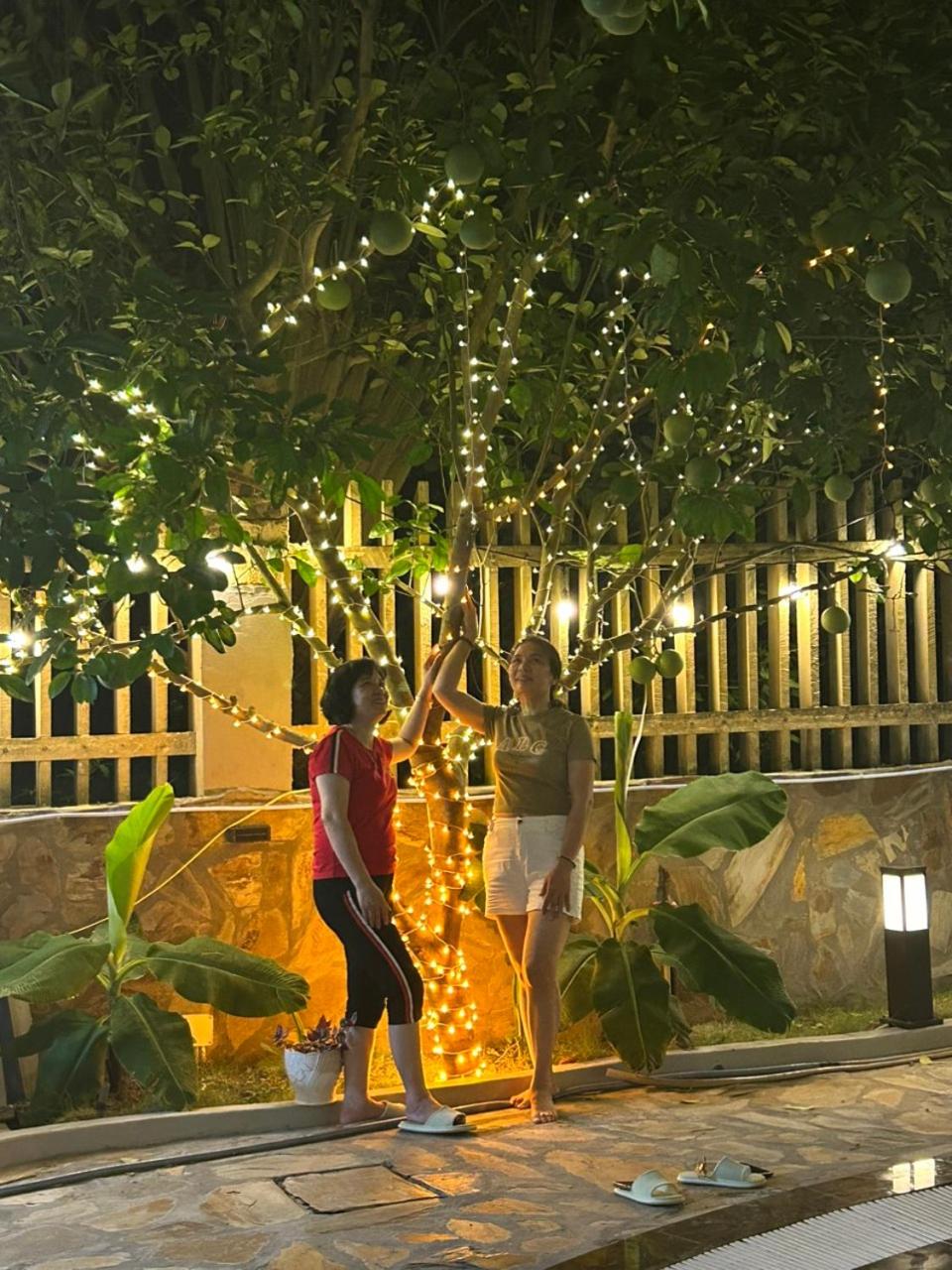 Hosu villa