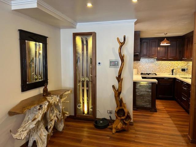 Departamentos Exclusivos Termas de Chillán