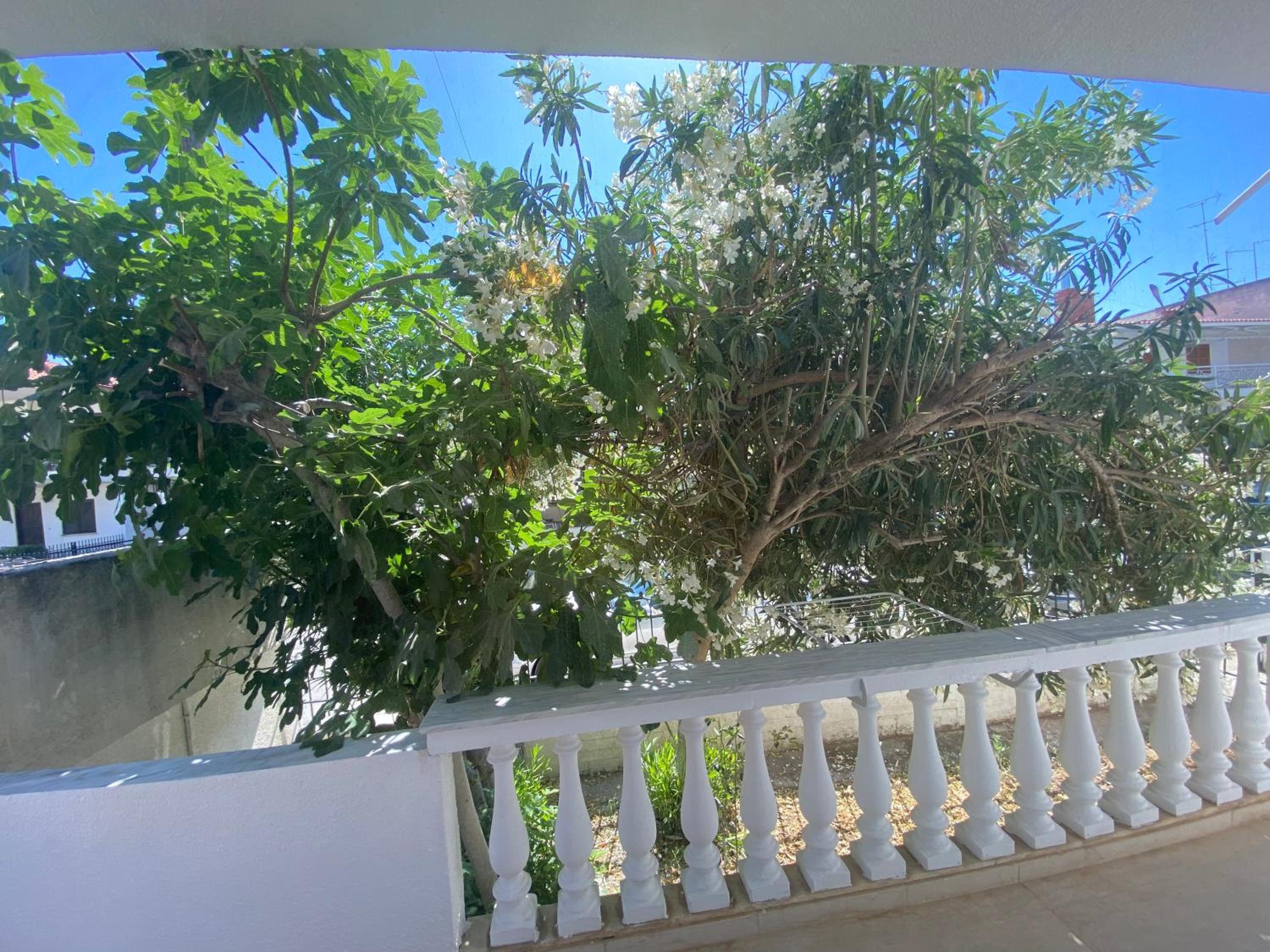 Astradeni Suite